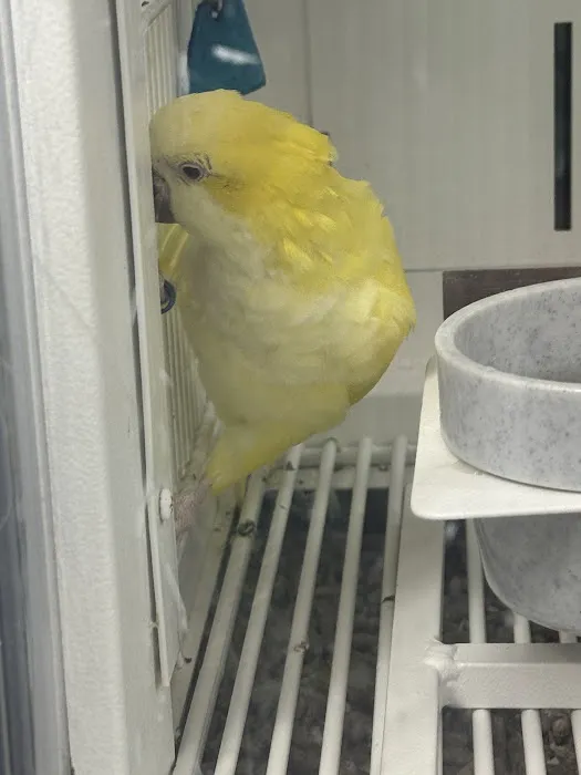 Petco Picture 3
