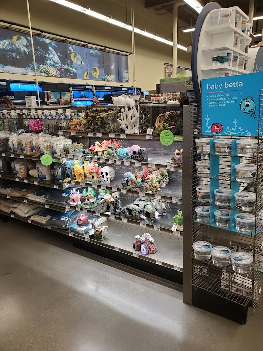 Petco Picture 6