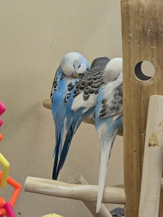 Petco Picture 9