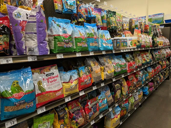 Petco Picture 10