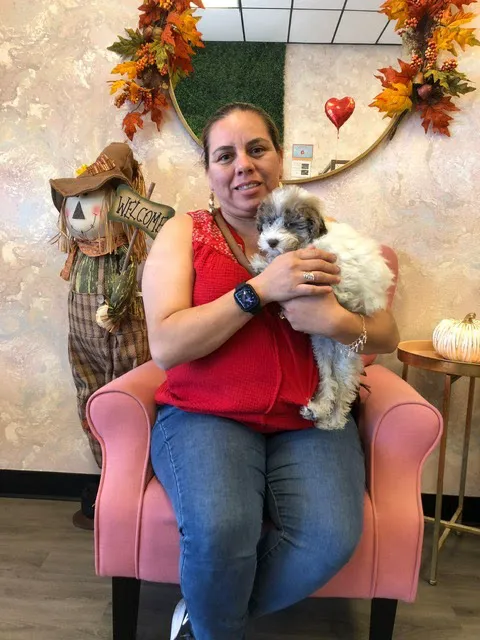 Puppies For Less - Sahara Las Vegas Picture 7