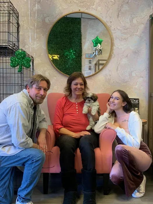 Puppies For Less - Sahara Las Vegas Picture 3