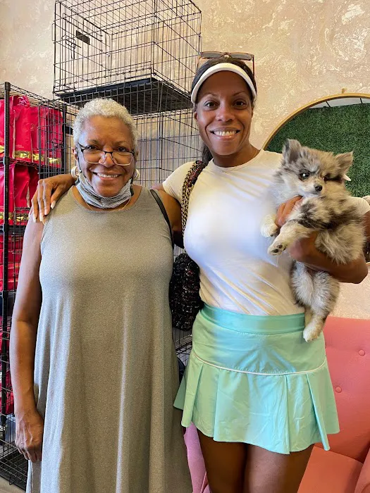 Puppies For Less - Sahara Las Vegas Picture 9