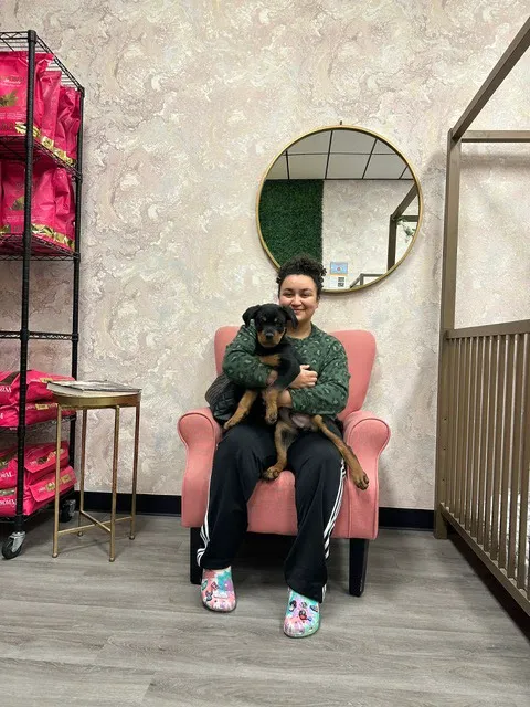 Puppies For Less - Sahara Las Vegas Picture 10