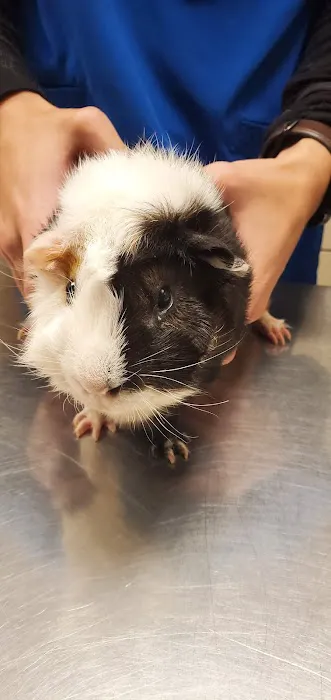 Ramsey Veterinary Hospital Picture 1