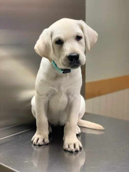 Ramsey Veterinary Hospital Picture 5