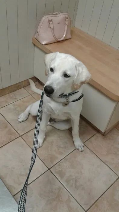 Ramsey Veterinary Hospital Picture 4