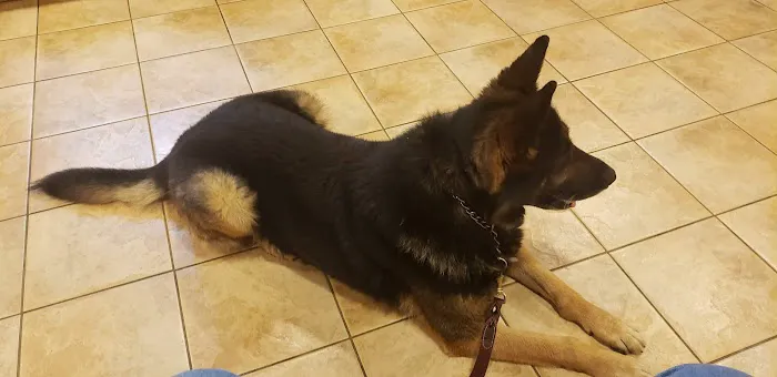 Ramsey Veterinary Hospital Picture 8