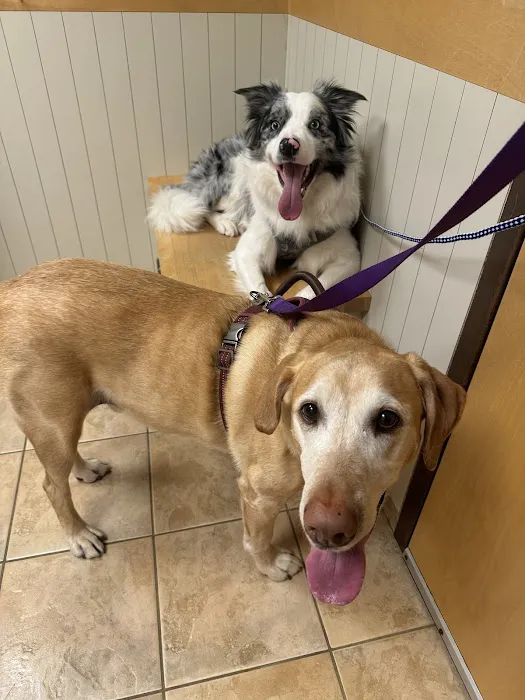 Ramsey Veterinary Hospital Picture 10