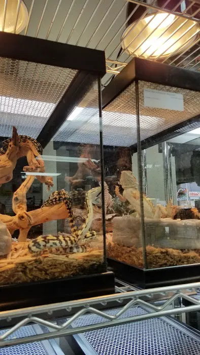 LLLReptile & Supply Las Vegas Picture 1