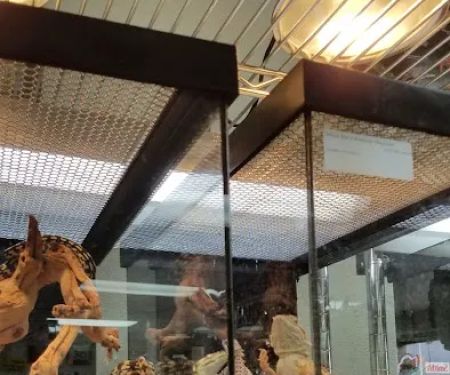 LLLReptile & Supply Las Vegas