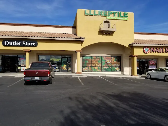 LLLReptile & Supply Las Vegas Picture 6