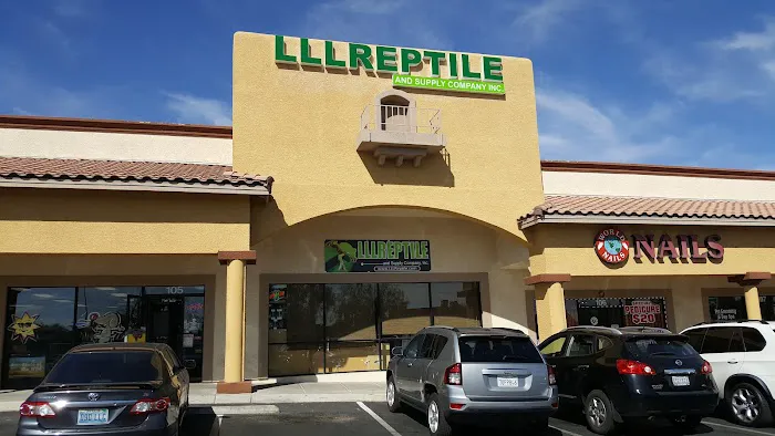 LLLReptile & Supply Las Vegas Picture 7