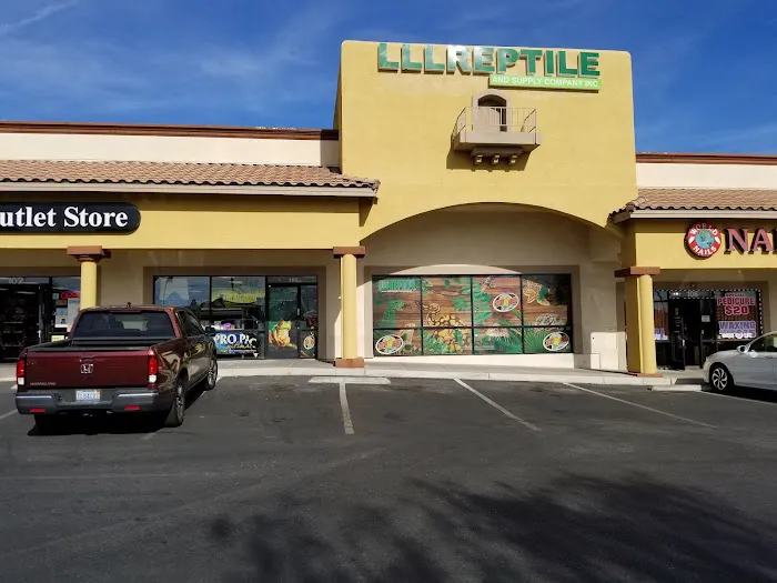 LLLReptile & Supply Las Vegas Picture 10