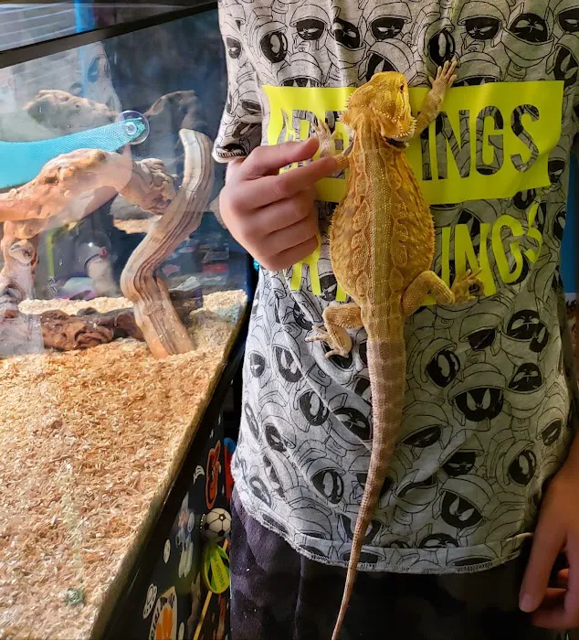 LLLReptile & Supply Las Vegas Picture 3