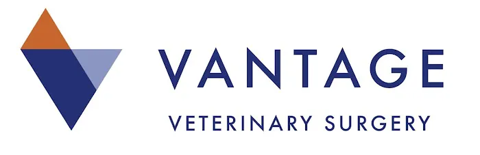 Vantage Veterinary Surgery Picture 1