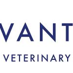 Vantage Veterinary Surgery