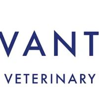 Vantage Veterinary Surgery ico