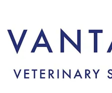 Vantage Veterinary Surgery