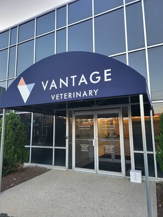 Vantage Veterinary Surgery Picture 5