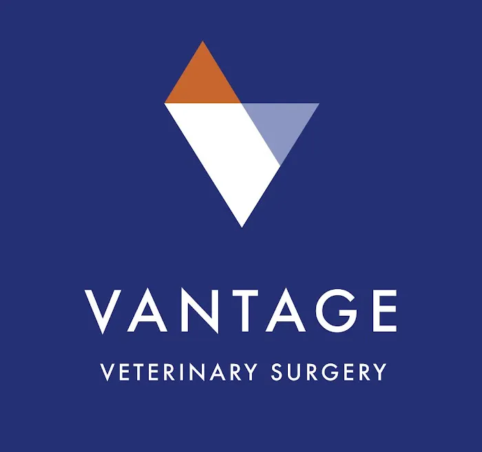 Vantage Veterinary Surgery Picture 10