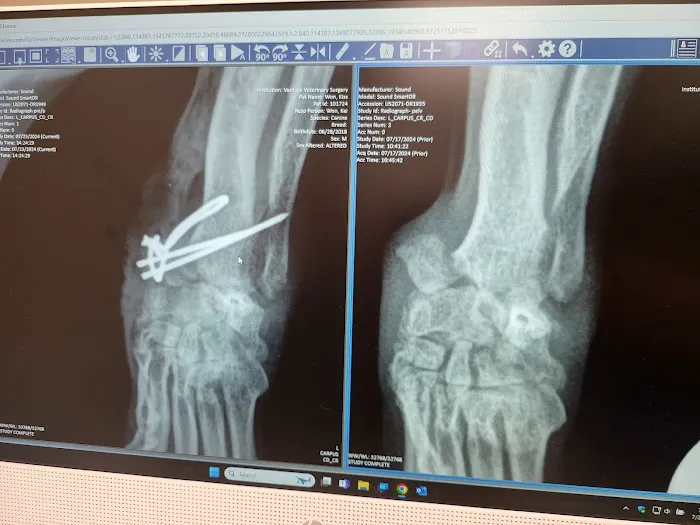 Vantage Veterinary Surgery Picture 6