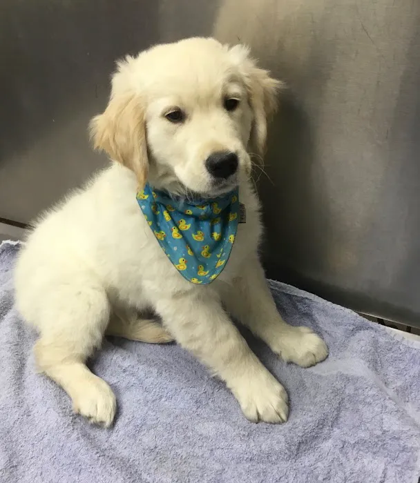 Ramsey Animal Clinic Picture 6