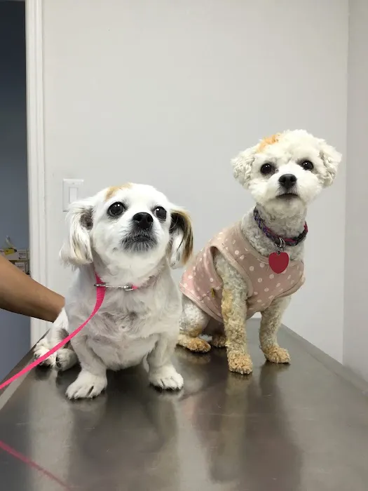 Ramsey Animal Clinic Picture 5