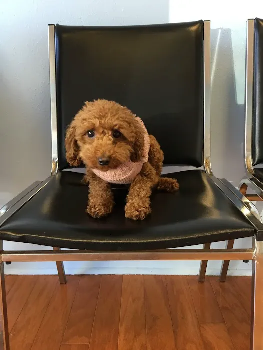 Ramsey Animal Clinic Picture 8