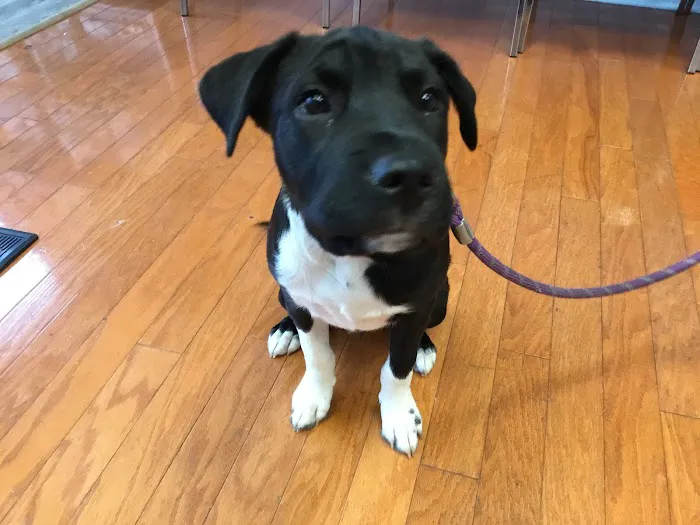 Ramsey Animal Clinic Picture 9