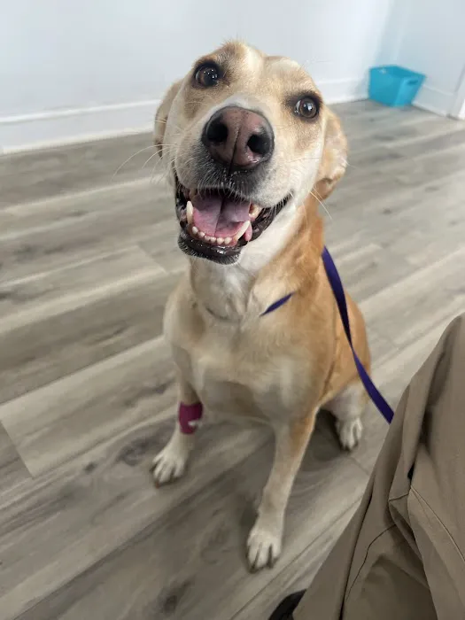 Ramsey Animal Clinic Picture 7