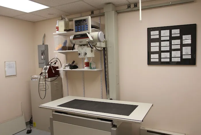 Franklin Turnpike Veterinary Hospital Picture 3