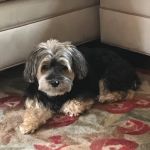 Franklin Turnpike Veterinary Hospital