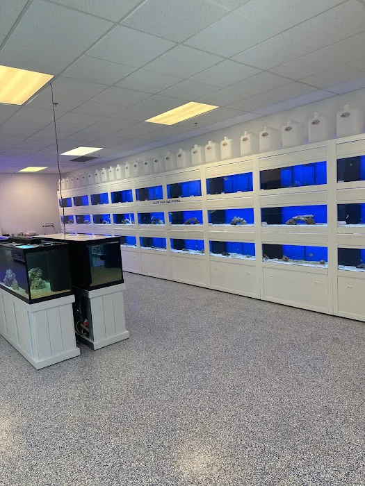 Sin City Aquatics & Maintenance Picture 2