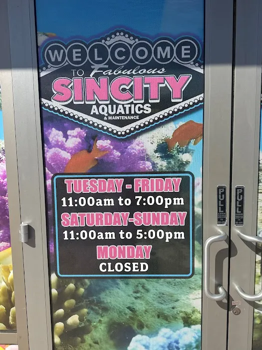 Sin City Aquatics & Maintenance Picture 8