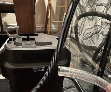 Sin City Aquatics & Maintenance