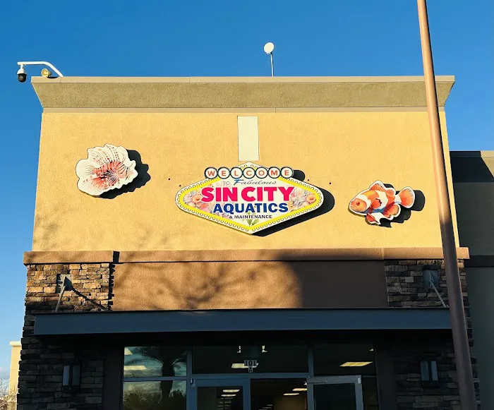 Sin City Aquatics & Maintenance Picture 6