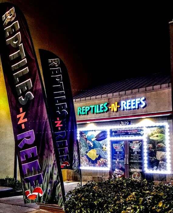 LLLReptile & Supply Henderson Picture 9