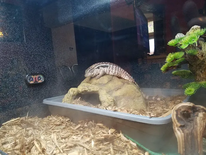 LLLReptile & Supply Henderson Picture 4
