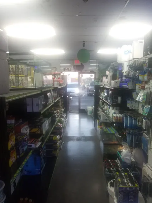 LLLReptile & Supply Henderson Picture 6