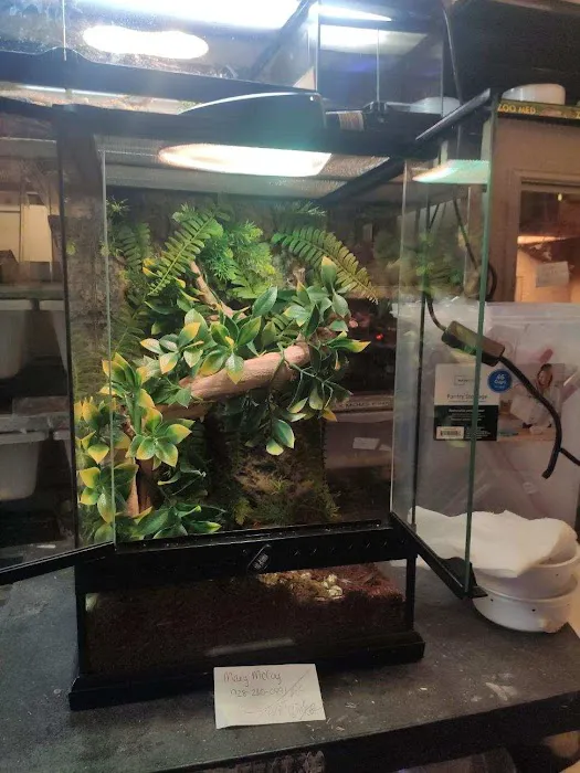 LLLReptile & Supply Henderson Picture 2