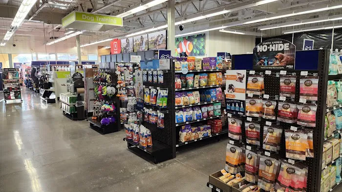 Petco Picture 2
