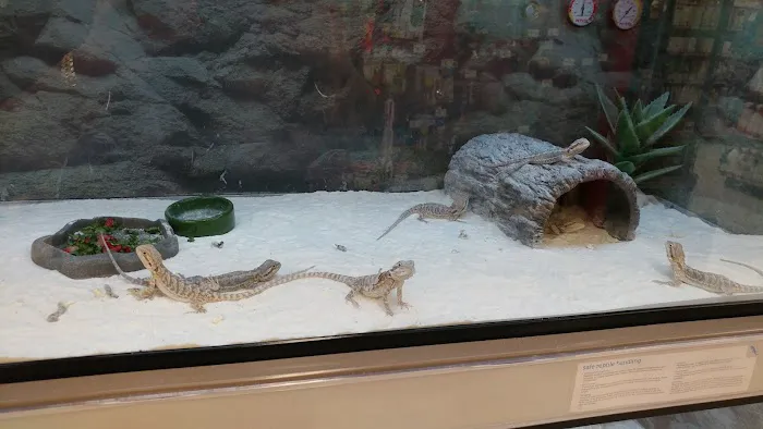 Petco Picture 8