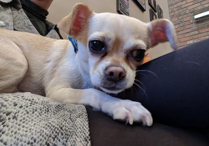 Bergen County Veterinary Center Picture 4