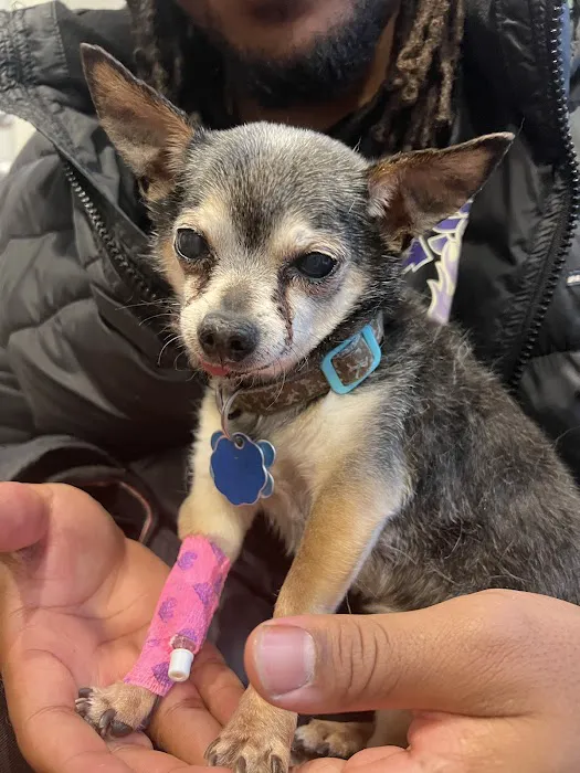 Bergen County Veterinary Center Picture 7