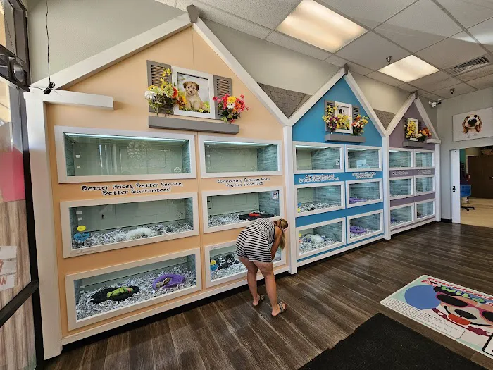 The Puppy Store Henderson Picture 6