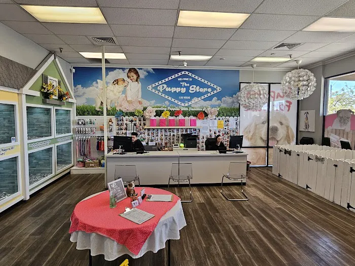 The Puppy Store Henderson Picture 8
