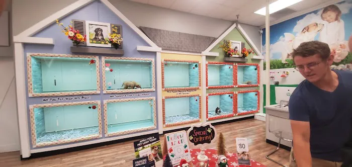 The Puppy Store Henderson Picture 4