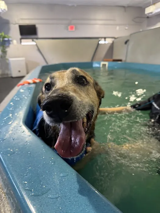 K9 Aquatics Picture 1