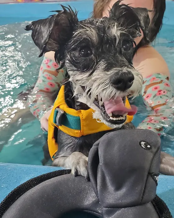 K9 Aquatics Picture 6